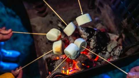 Campfire with Marshmallows on sticks
