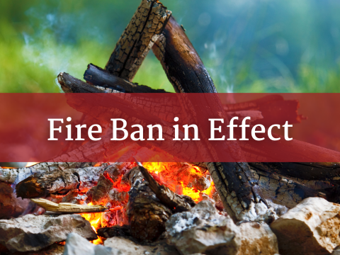Campfire with coals and wood leaning on various pieces surrounded by rocks with Text over the top of the image that says Fire Ban In Effect